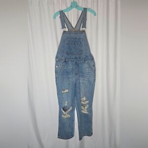 Wild Fable Distressed Overalls